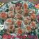 Cooksnap dari jolee007 untuk resep Dimsum siomay udang ayam