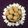 Sudipa Gope's cooksnap of when they made Til Gud ke Ladoo.