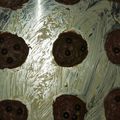 Cooksnap dari Nilam Shindi untuk resep Coklat Chip Cookies