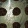 Cooksnap dari Nilam Shindi untuk resep Coklat Chip Cookies