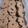 Cooksnap dari Yuliani Lidya untuk resep Chocochips Cookies