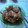 Cooksnap dari Tyaseta Rabita Nugraeni Sardjono untuk resep Sambal Tuna