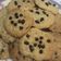 Cooksnap dari Michellea Budiyanto untuk resep 💢 Crunchy Oat Cookies (Non Keto)💢