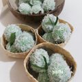 Cooksnap dari Yunitha Ummu Sayyidati untuk resep Klepon isi Gula Merah