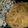 dhargress8's cooksnap of when they made Cajun Onion-Crusted Tilapia.