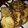 El cooksnap de Noelia Marina López Matwiczyk cuando hizo Tostadas francesas o torrejas con pan baguette/flauta.