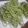 Cooksnap dari Windy untuk resep Mie Bayam Hijau