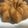 jane umejei's cooksnap of when they made Home Made Bread.
