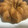 jane umejei's cooksnap of when they made Home Made Bread.