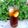 𝒳𝓇𝓊𝓈𝑜𝓊𝓁𝒶 𝒦𝑜𝓃𝓉𝑜𝓅𝑜𝓊𝓁𝑜𝓊's cooksnap of when they made How To Make Thai Tea At Home • Easy Recipe •Thai Iced Lime Tea