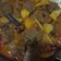 Cooksnap dari Cummy untuk resep Rendang Daging Sapi Bumbu Instan Racik Indofood