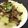 Dolly Chow 的 清蒸高麗菜 cooksnap