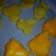 Cooksnap dari Ravita Intan Maharani untuk resep Chicken nugget homemade