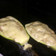 El cooksnap de Edith Sandra cuando hizo Zapallo italiano relleno a la nany.