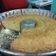 El cooksnap de cbeunza cuando hizo Bizcochuelo rico rico.