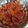 लता धानापुने's cooksnap of when they made भोपळ्याचे भरीत (bhoplyache bharit recipe in marathi).