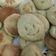 El cooksnap de Nadia Rodriguez cuando hizo Galletitas de Manteca.