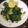 marvin.freaky's cooksnap of when they made AMIEs SAUTEED SPINACH with GARLIC.