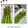 Cooksnap dari MD's Kitchen untuk resep Pan seared asparagus