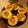 kenisha 's cooksnap of when they made Sloppy Joe Cups.