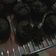 Cooksnap dari Eka ComeLzz Nyonya JuLianto untuk resep Muffin Choco Chip