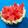 Jayshree Doshi's cooksnap of when they made તરબૂચ જયુસ (Watermelon Juice Recipe In Gujarati).