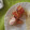 El cooksnap de exefer cuando hizo Filetes de pollo rellenos.