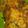 Cooksnap dari Deris untuk resep Bakwan jagung