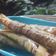 Cooksnap dari Rifki Garnita untuk resep Pisang Aroma Rasa Karamel yg Renyah