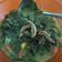 Cooksnap dari Dee untuk resep Sayur Daun Singkong Bumbu Kuning