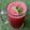 Seema Raghav का कुकस्नैप जब उन्होंने चुकंदर का जूस (Chukandar ka juice recipe in hindi) बनाया था।