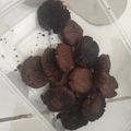 Cooksnap dari Tiara Esha untuk resep Kukis Teflon (hanya 5 bahan)