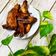 Cooksnap của Hoàng Oanh khi họ làm theo món Cánh giữa chiên giòn