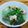 Cooksnap của QUÂN NGUYỄN khi họ làm theo món Canh gà lá giang