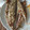 El cooksnap de Jorge Gallego Patiño cuando hizo Caballa (xarda) al horno.