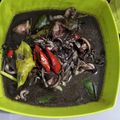 Cooksnap dari Nur Afifah Ruslan untuk resep Tumis Cumi Hitam