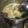 Cooksnap dari Clairin Syahla' untuk resep Sop Bening Dori