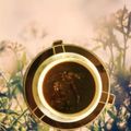 Nandita Mukherjee's cooksnap of when they made কুমড়োর চাটনি (Kumror Chutney recipe in Bengali).
