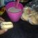 El cooksnap de Lisi Pallares cuando hizo Alfajores de Maicena.
