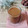 Cooksnap dari Setya N2 untuk resep Hot Chocolate