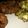 El cooksnap de Luchy Alterini cuando hizo Torrejas caseras.