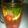Cooksnap dari Missfas untuk resep simply infused water