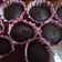 Cooksnap dari Mama Gavin untuk resep Cupcake kukus coklat simple (no mixer)