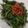 Cooksnap dari EKA KARTIKA untuk resep Plecing Kangkung