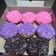 Cooksnap dari Intan Fitria Sari untuk resep 13#Donat Kentang Lembut -Fatmah Bahalwan