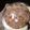 Sechu Brown's cooksnap of when they made Carrot cake.