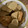 El cooksnap de tyare roco cuando hizo Galletas de Mantequilla (temática Navidad).