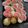 Hinad Muhammad's cooksnap of when they made Vanilla cupcakes.