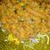 Cooksnap dari Metha Jasmine untuk resep Toge Goreng