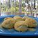 Cooksnap dari Muhammada Muhsina untuk resep Kue Sus (bahannya takaran sendok)